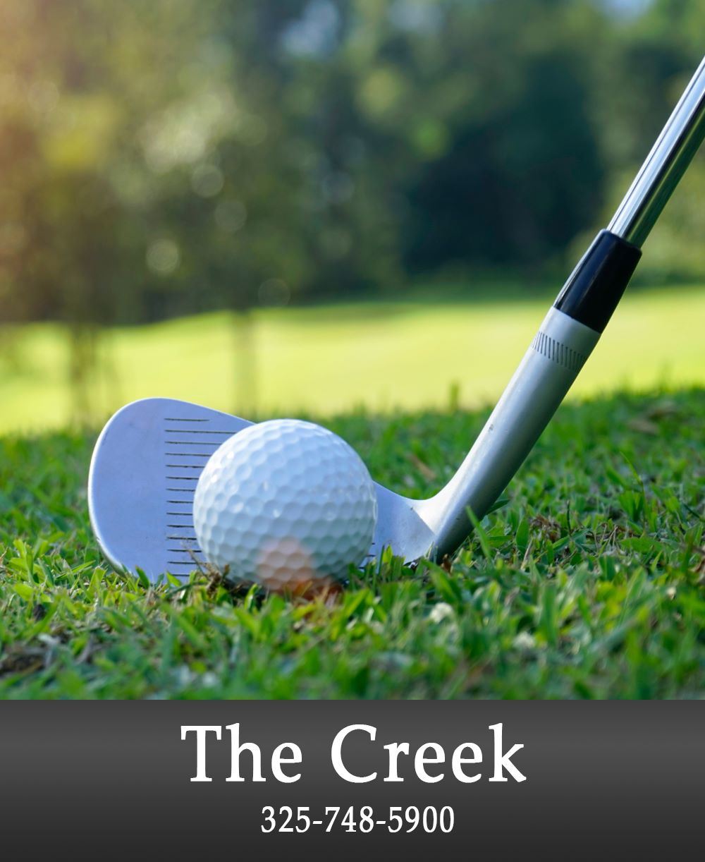 Image of a Golf Club about to Putt a Golf Ball