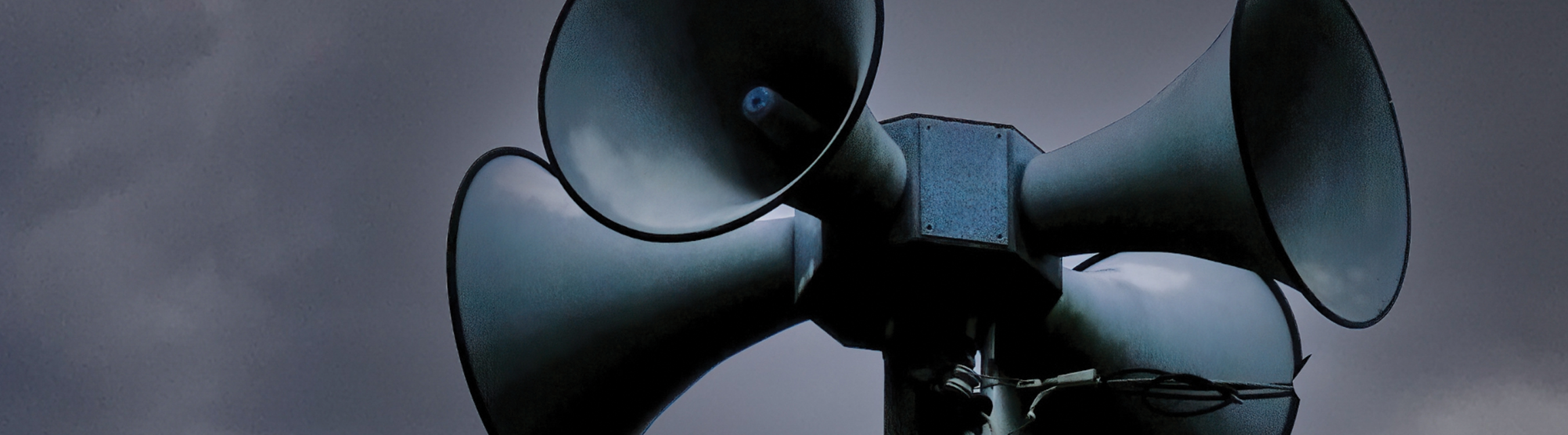 Image of a Storm Siren Banner