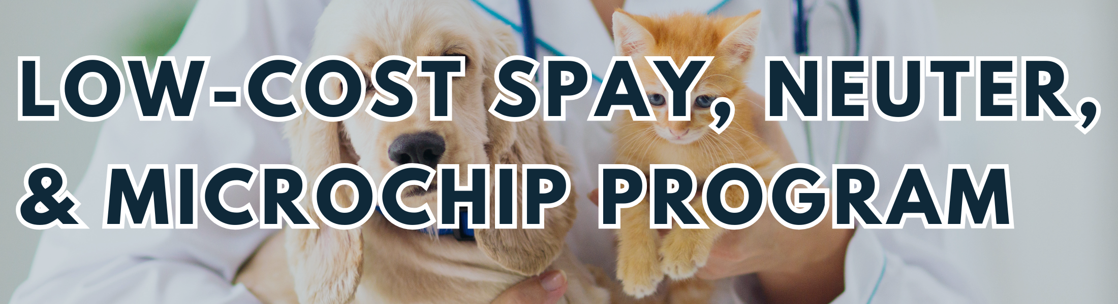 Low-Cost Spay Neuter andmicrochip Program