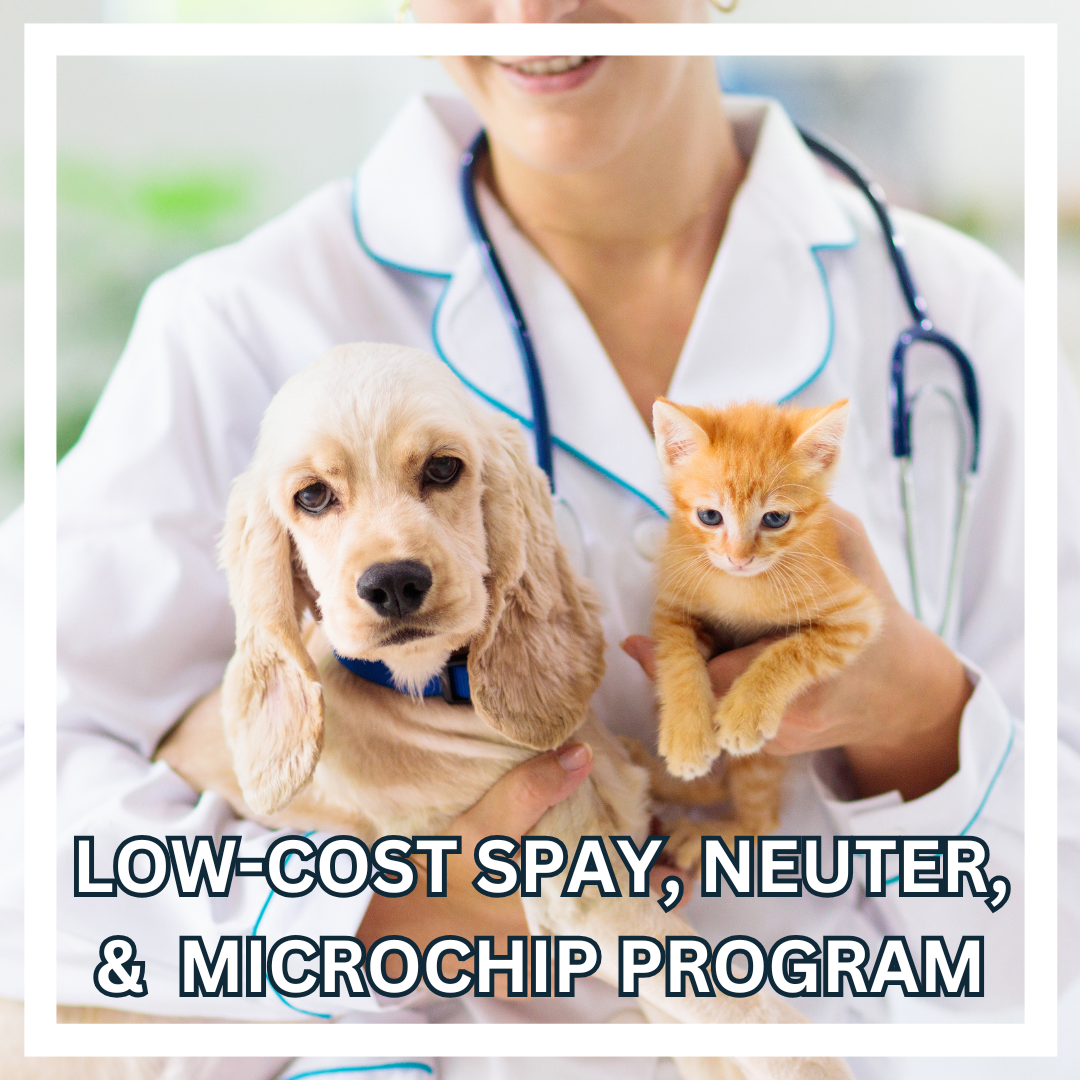Hover LOW-COST SPAY, NEUTER, &  MICROCHIP PROGRAM