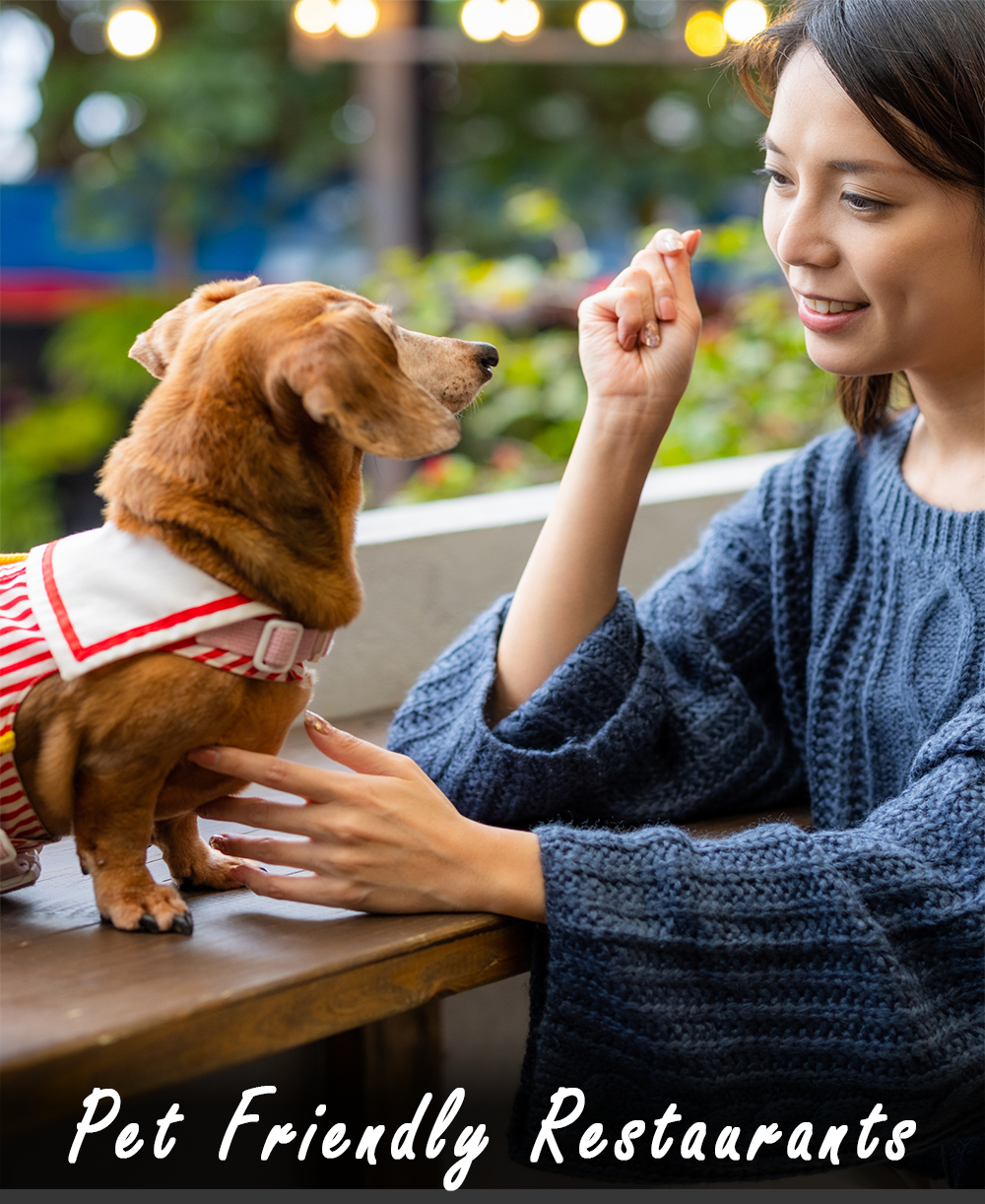 Image of Pet Friendly Page.